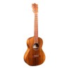 Ukulele Martin T1K