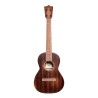 Ukulele T1 StreetMaster