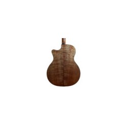 (DESCONTINUADA) Guitarra Electroacústica Martin GPC Special Road Series