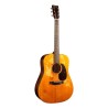 Guitarra Acústica D-18 StreetLegend™